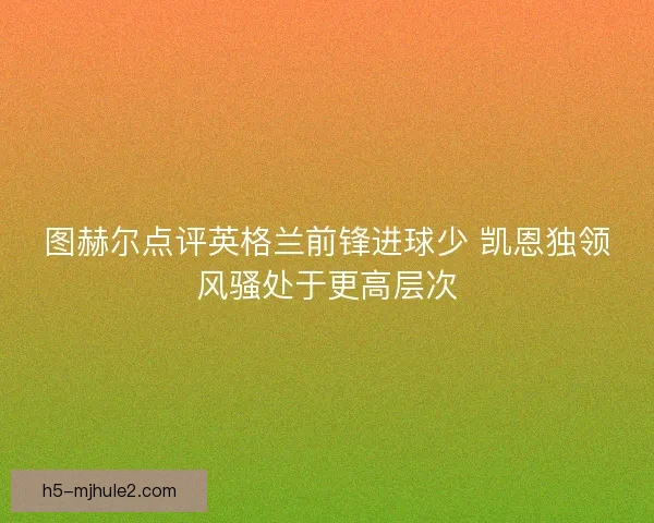 图赫尔点评英格兰前锋进球少 凯恩独领风骚处于更高层次 图赫尔点评英格兰前锋进球少 凯恩独领风骚处于更高层次
