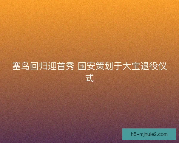 塞鸟回归迎首秀 国安策划于大宝退役仪式